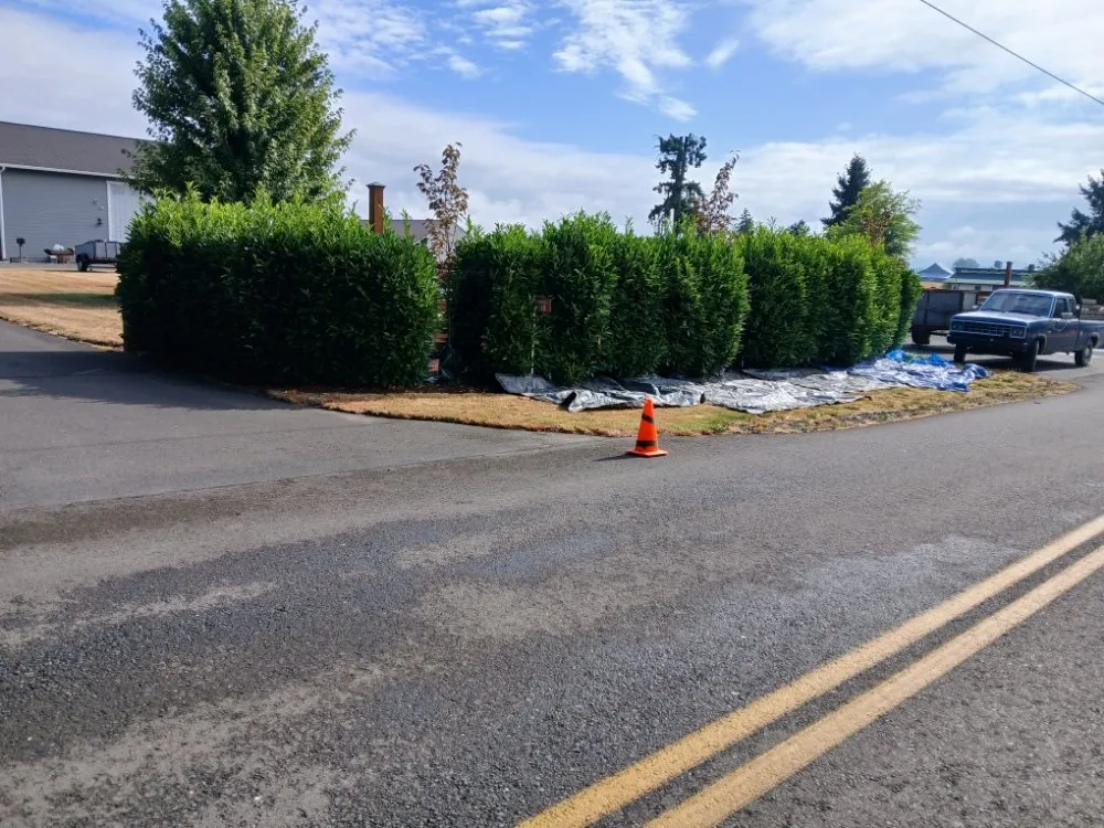 Affordable landscaping services near you in Dayton, OR by Greener Side