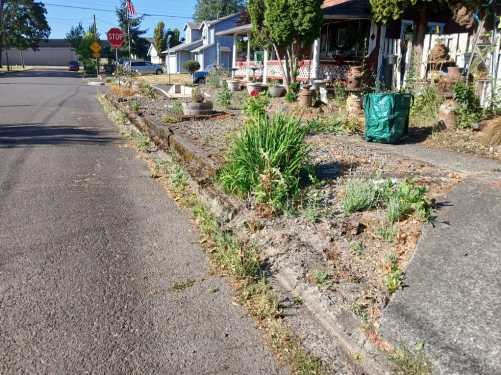 Affordable garden landscaping for beautiful yards across Dayton, OR - Greener Side