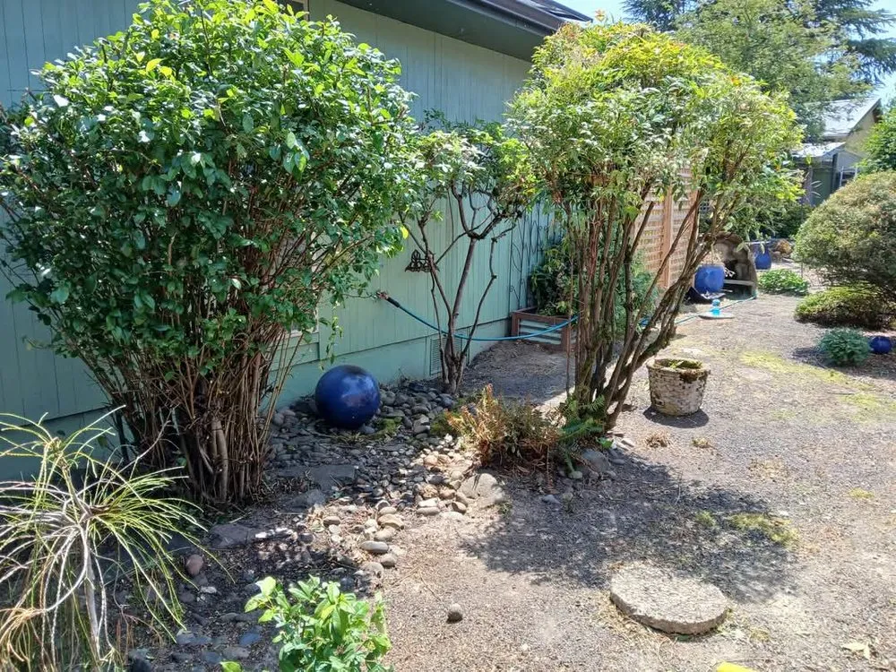 Custom yard cleanup service experts serving Dayton, OR - Greener Side