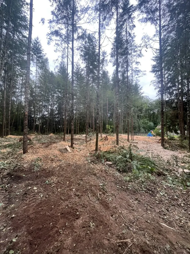 Custom lawn care service in Marysville, WA - Greener Side Landscaping