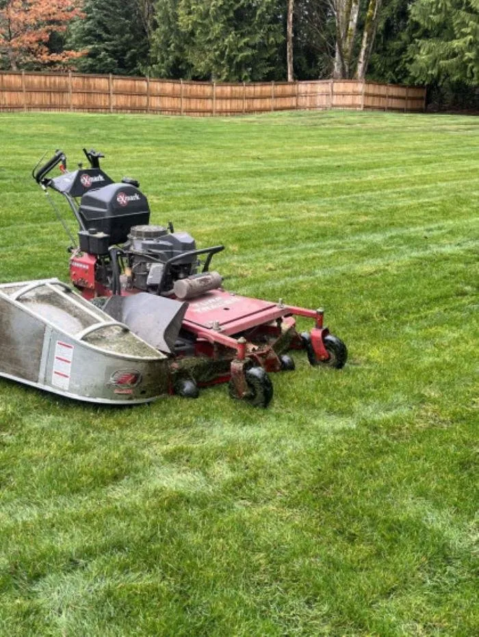 Affordable residential landscaping in Marysville, WA - Greener Side Landscaping