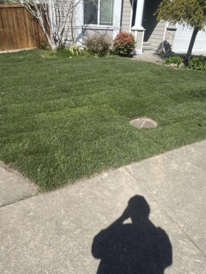 Reliable residential landscaping for homes in Marysville, WA by Greener Side Landscaping