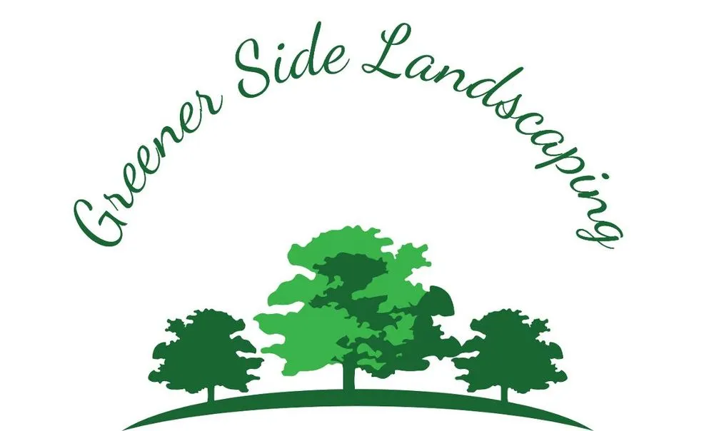 Expert yard cleanup service in Marysville, WA by Greener Side Landscaping
