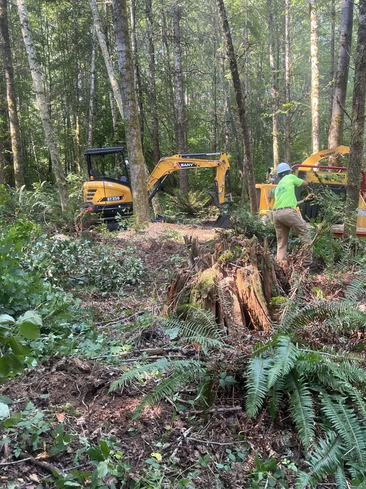 Trusted outdoor landscaping for residential properties in Marysville, WA by Greener Side Landscaping