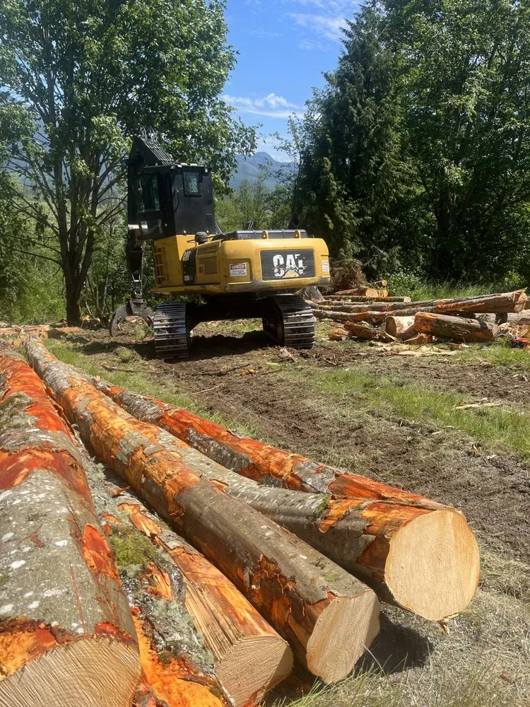 Reliable yard maintenance with custom design in Marysville, WA by Greener Side Landscaping