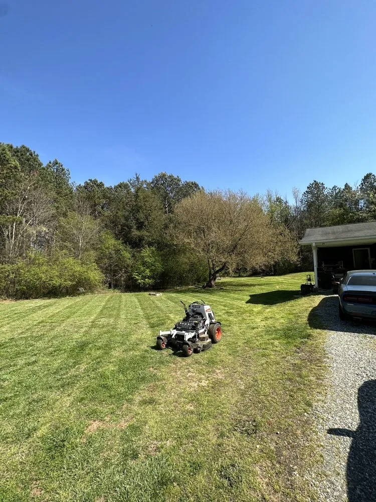 Reliable yard cleanup service in Starr, SC by Greener Side Landscaping Plus