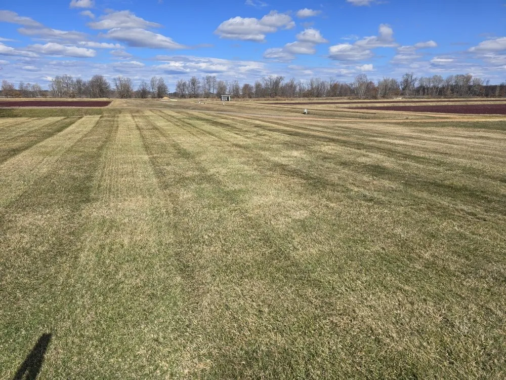 Trusted landscape design for year-round maintenance across Melrose, WI - Greener Side Outdoors