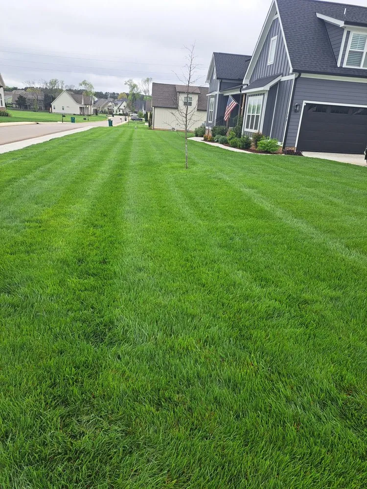 Top-rated yard maintenance in Franklin, TN by Greener Solutions