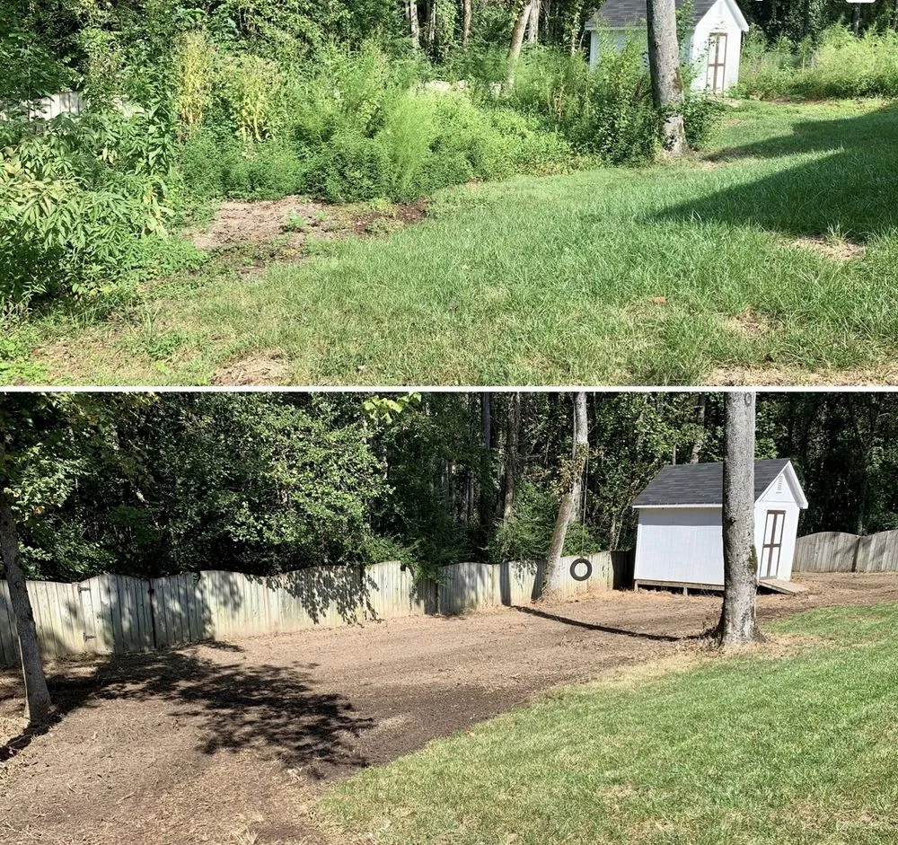 Affordable lawn care service for year-round maintenance in Gainesville, GA by Greener solutions