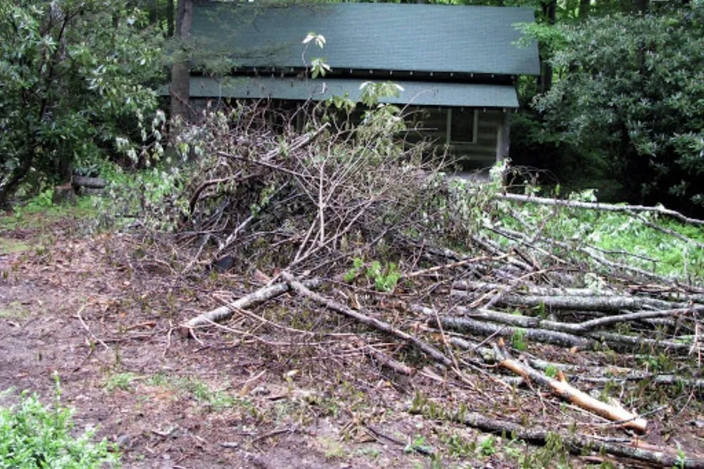 Top-rated lawn mowing service in Gainesville, GA by Greener solutions