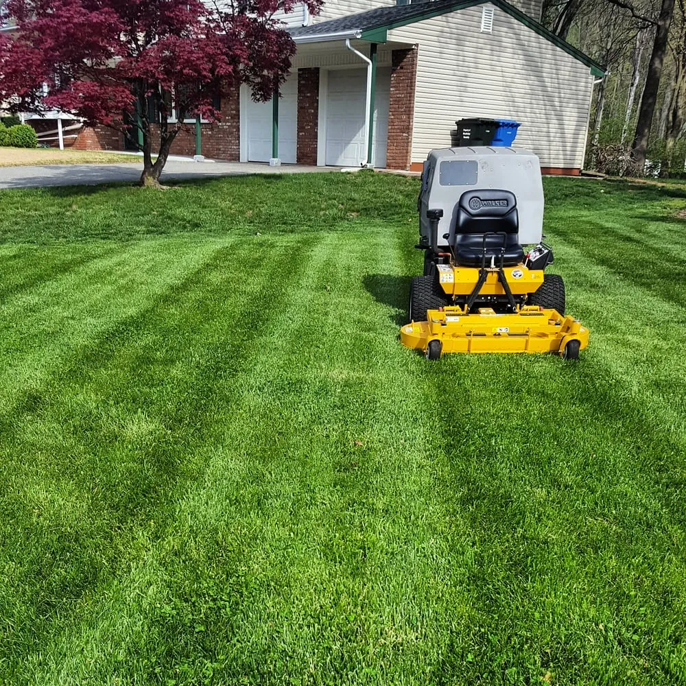 Reliable landscaping services in Rahway, NJ - Greener Solutions Landscaping