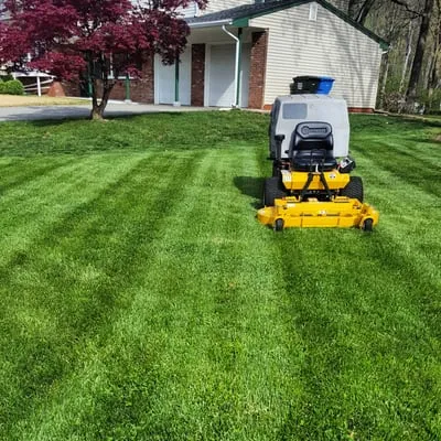 Greener Solutions Landscaping