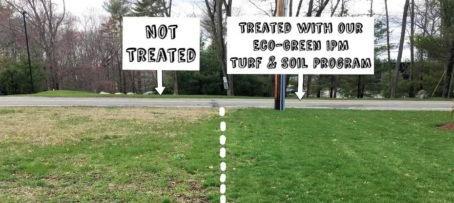 Local residential landscaping experts serving Rowley, MA - Greener Solutions