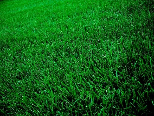 Affordable lawn mowing service in Rowley, MA by Greener Solutions