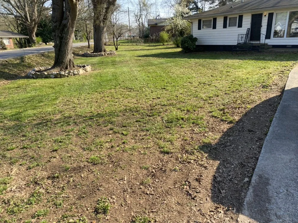 Expert landscape design experts serving Rome, GA - Greener south lawn service