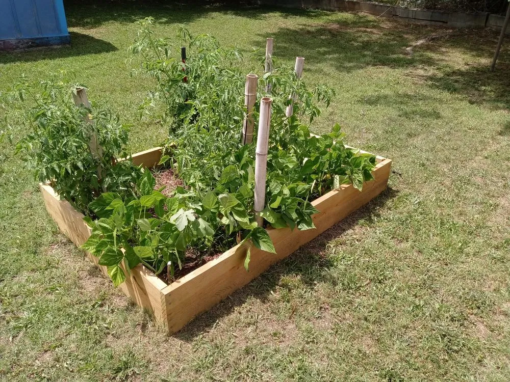 Expert landscape installation in Burlington, NC by Greener Than Beans LLC