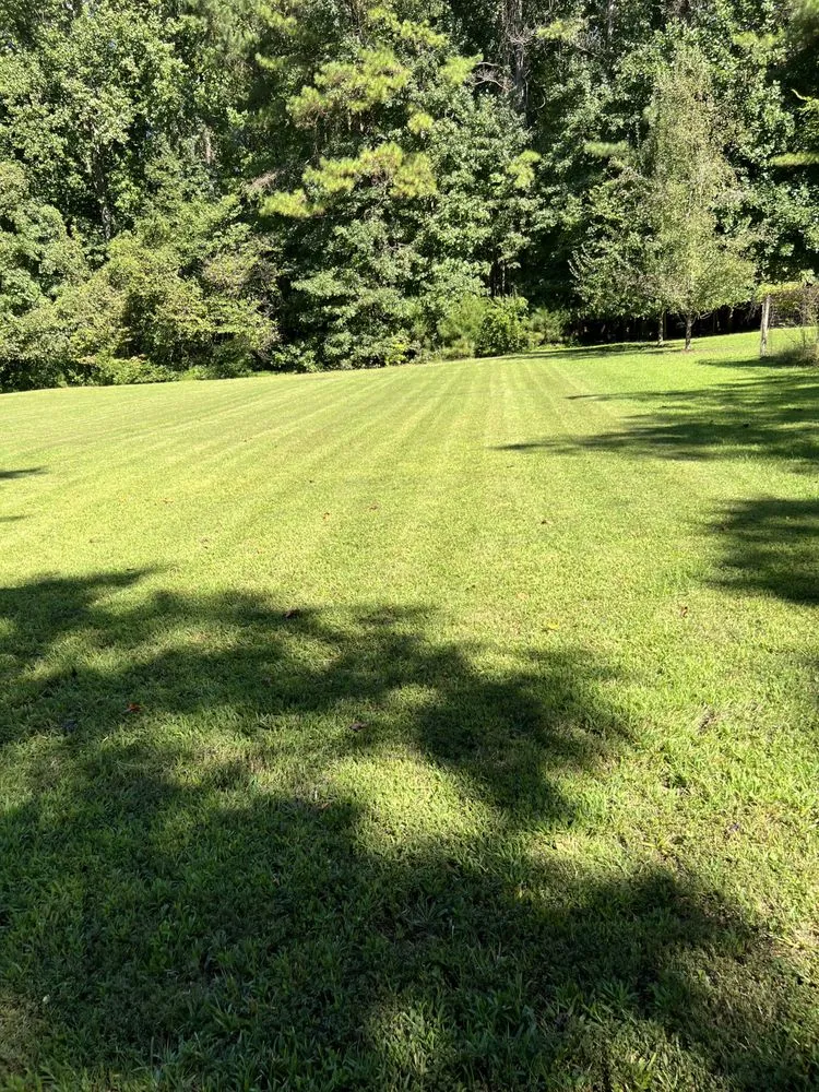 Professional outdoor landscaping for beautiful yards across Burlington, NC - Greener Than Beans LLC