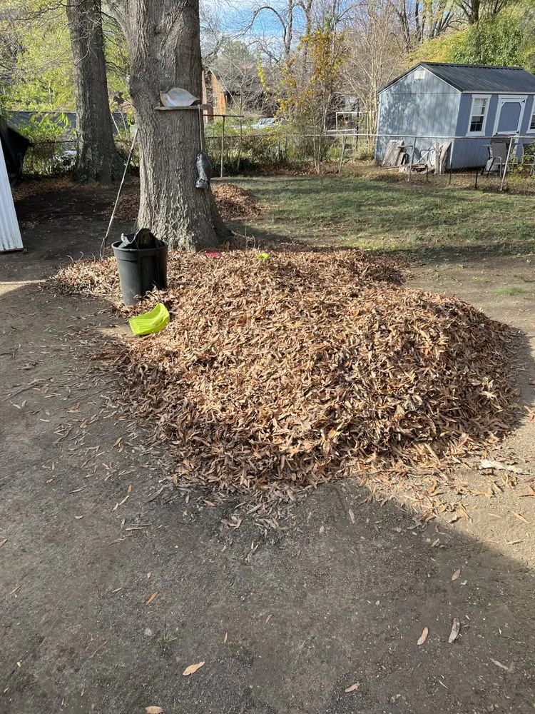 Trusted yard maintenance with custom design across Burlington, NC - Greener Than Beans LLC