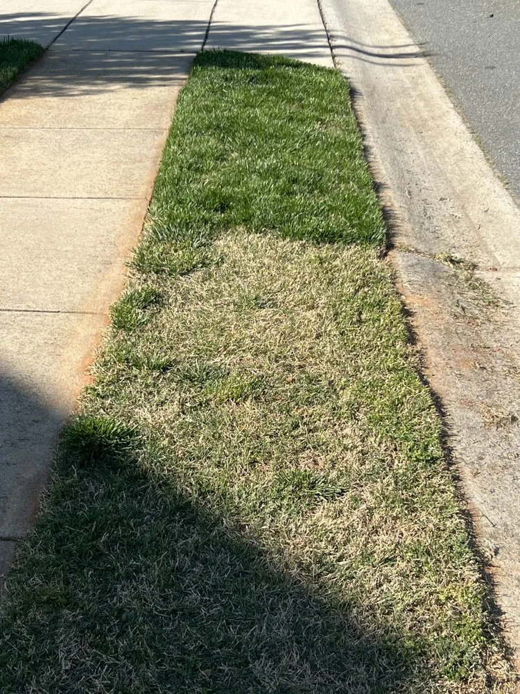 Reliable outdoor landscaping experts serving Burlington, NC - Greener Than Beans LLC