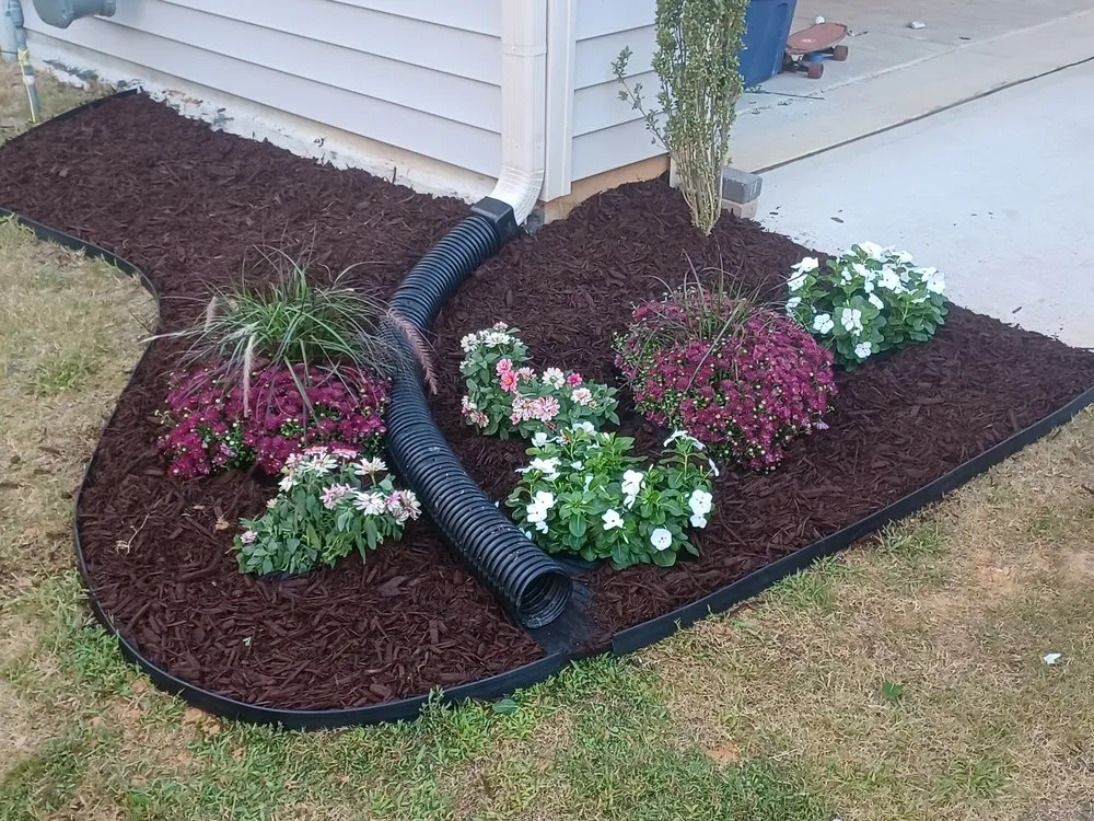 Reliable yard cleanup service for residential properties in Burlington, NC by Greener Than Beans LLC