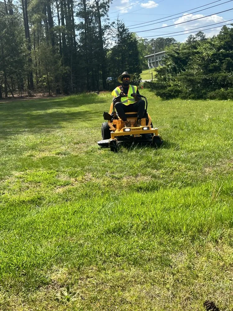 Affordable yard cleanup service near you in Burlington, NC by Greener Than Beans LLC