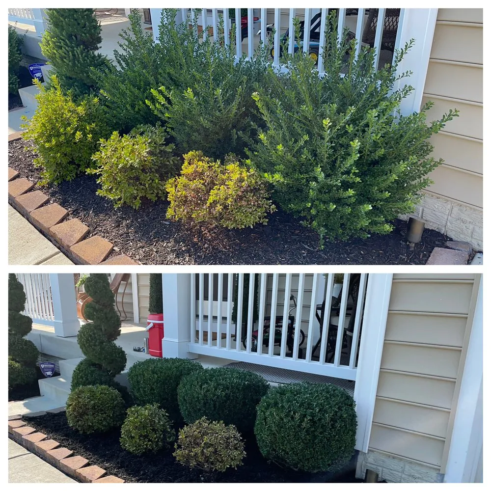 Affordable yard maintenance with custom design in Saint Charles, MD by Greener View