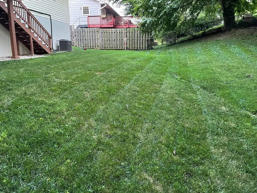 Reliable landscape design for residential properties across Saint Charles, MD - Greener View