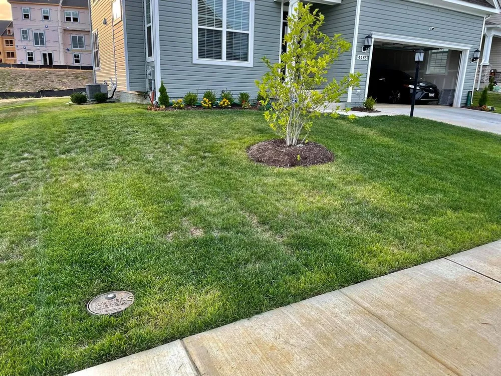 Top-rated yard maintenance experts serving Saint Charles, MD - Greener View