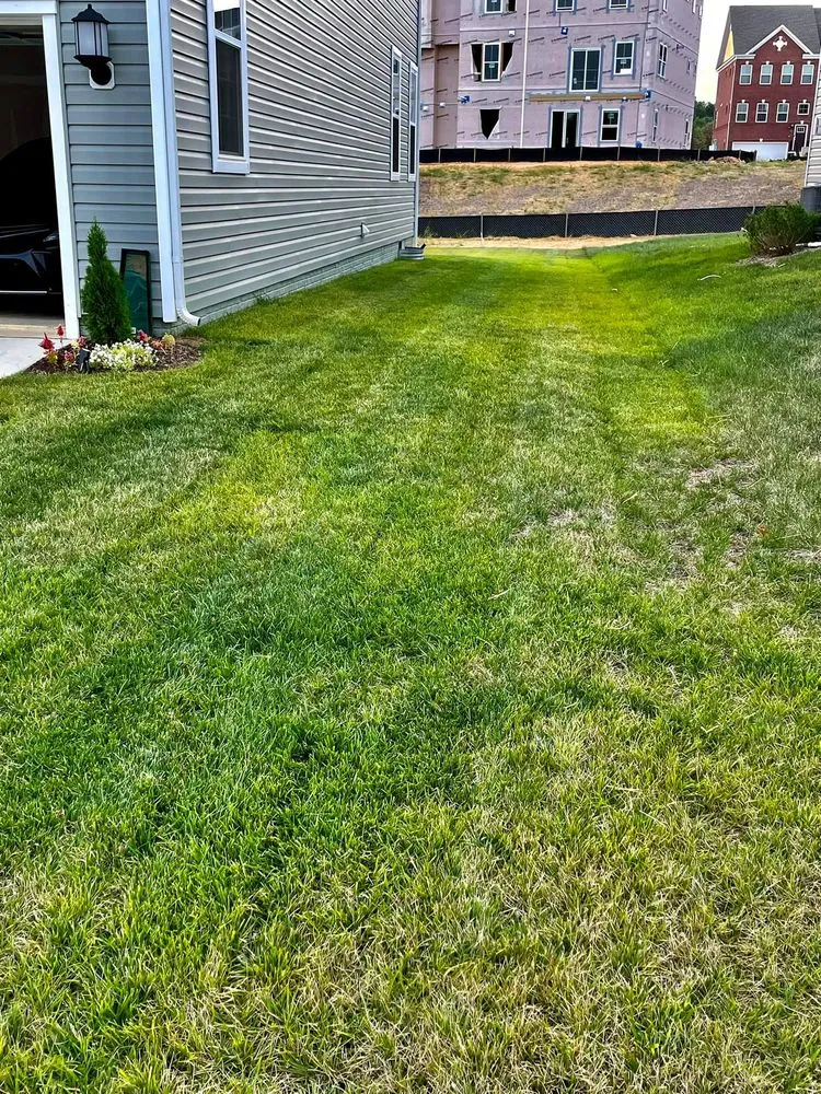 Affordable lawn mowing service in Saint Charles, MD by Greener View