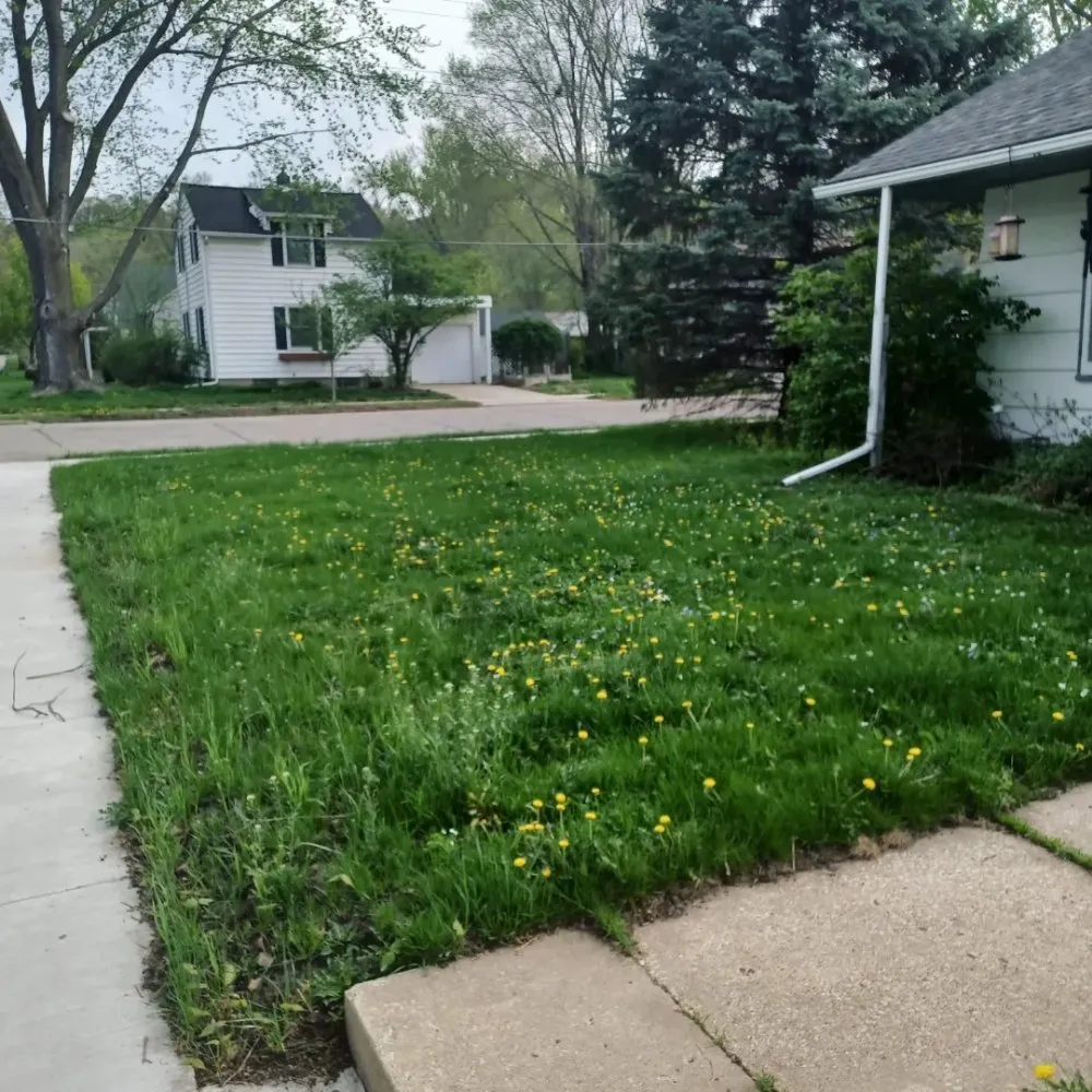 Expert yard cleanup service in Rochester, MN - Greener View Services