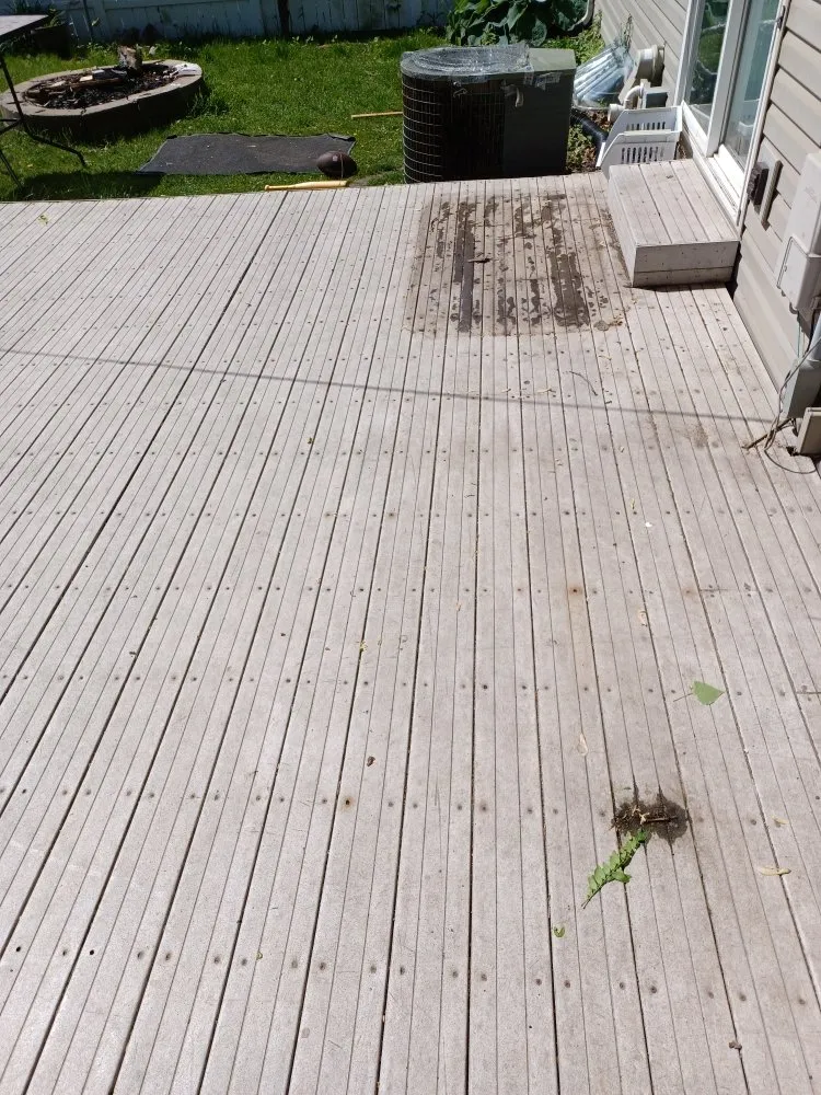 Top-rated lawn care service near you in Rochester, MN by Greener View Services