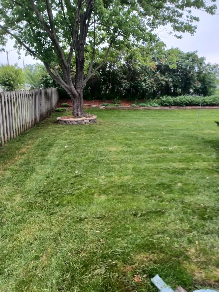 Local garden landscaping experts serving Rochester, MN - Greener View Services