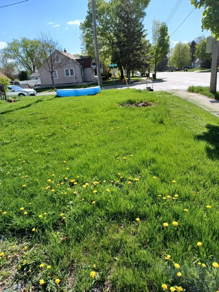 Expert yard maintenance experts serving Rochester, MN - Greener View Services