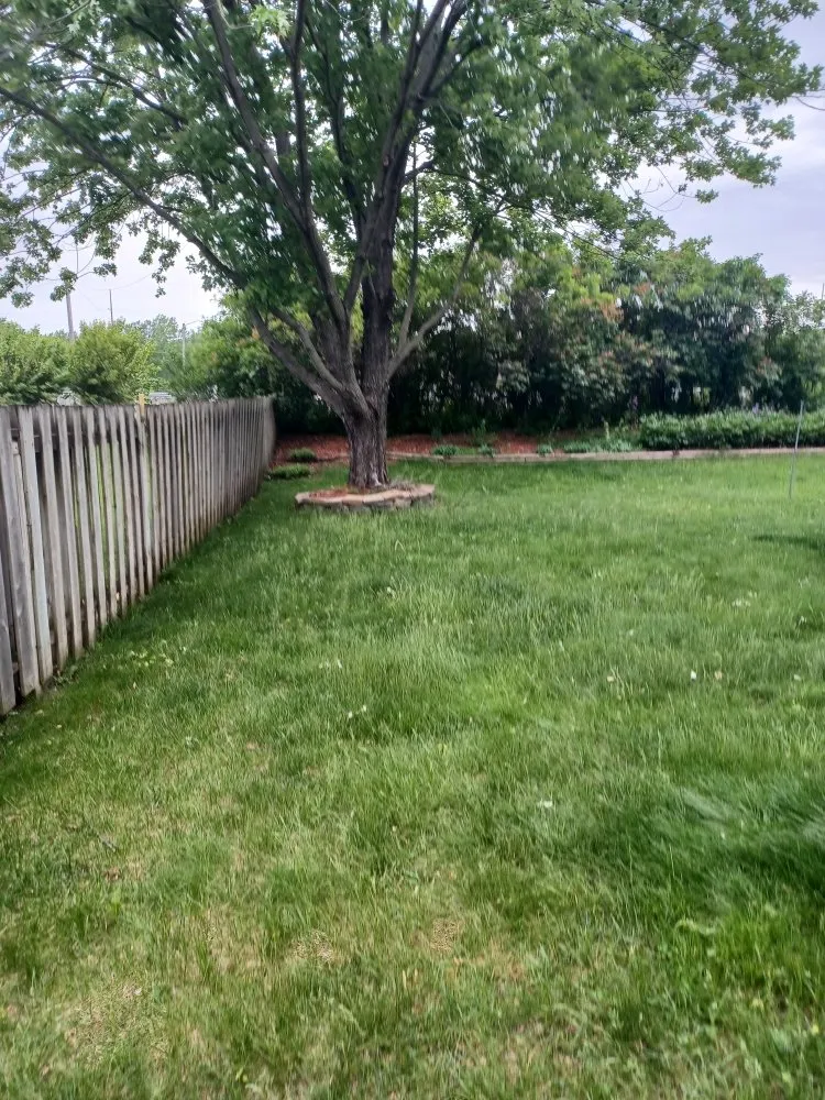 Expert garden landscaping with custom design across Rochester, MN - Greener View Services