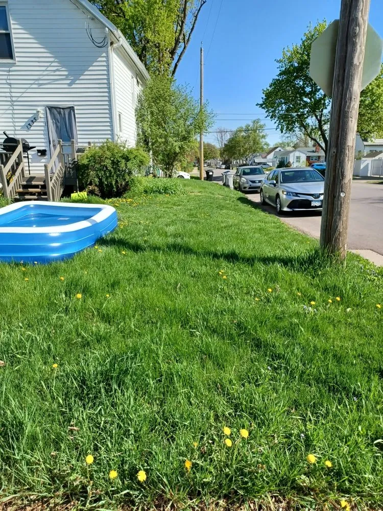 Expert yard maintenance in Rochester, MN by Greener View Services