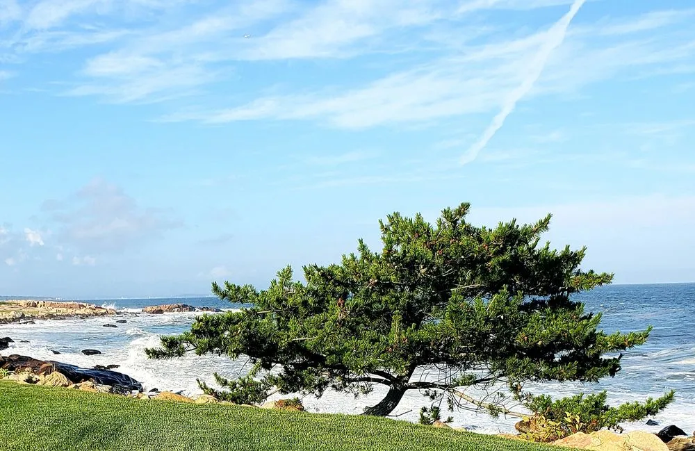 Affordable landscape design in Cranston, RI - GreenerEase