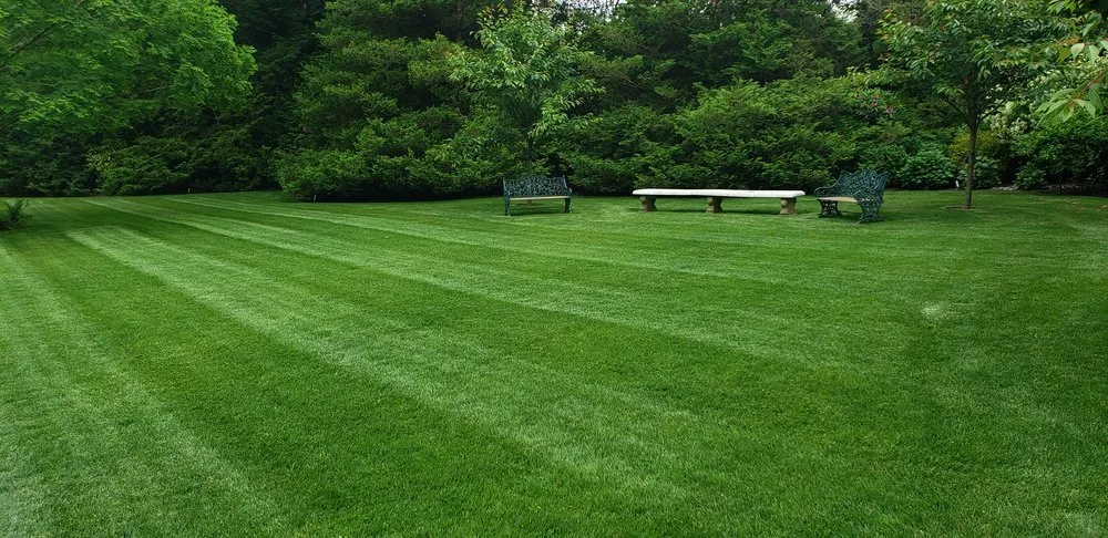 Local residential landscaping for residential properties in Cranston, RI by GreenerEase