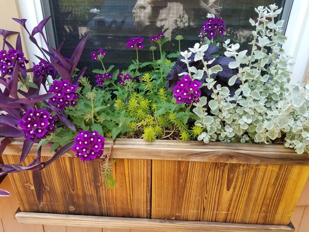 Top-rated lawn mowing service in Cranston, RI by GreenerEase