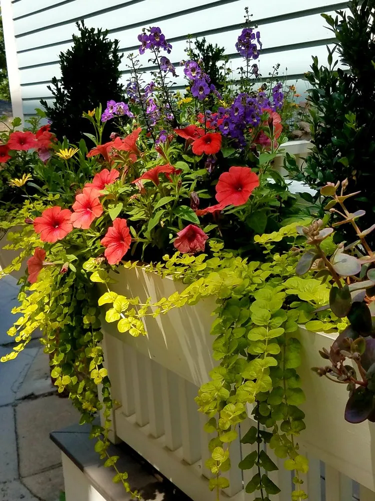 Professional garden landscaping for residential properties in Cranston, RI by GreenerEase