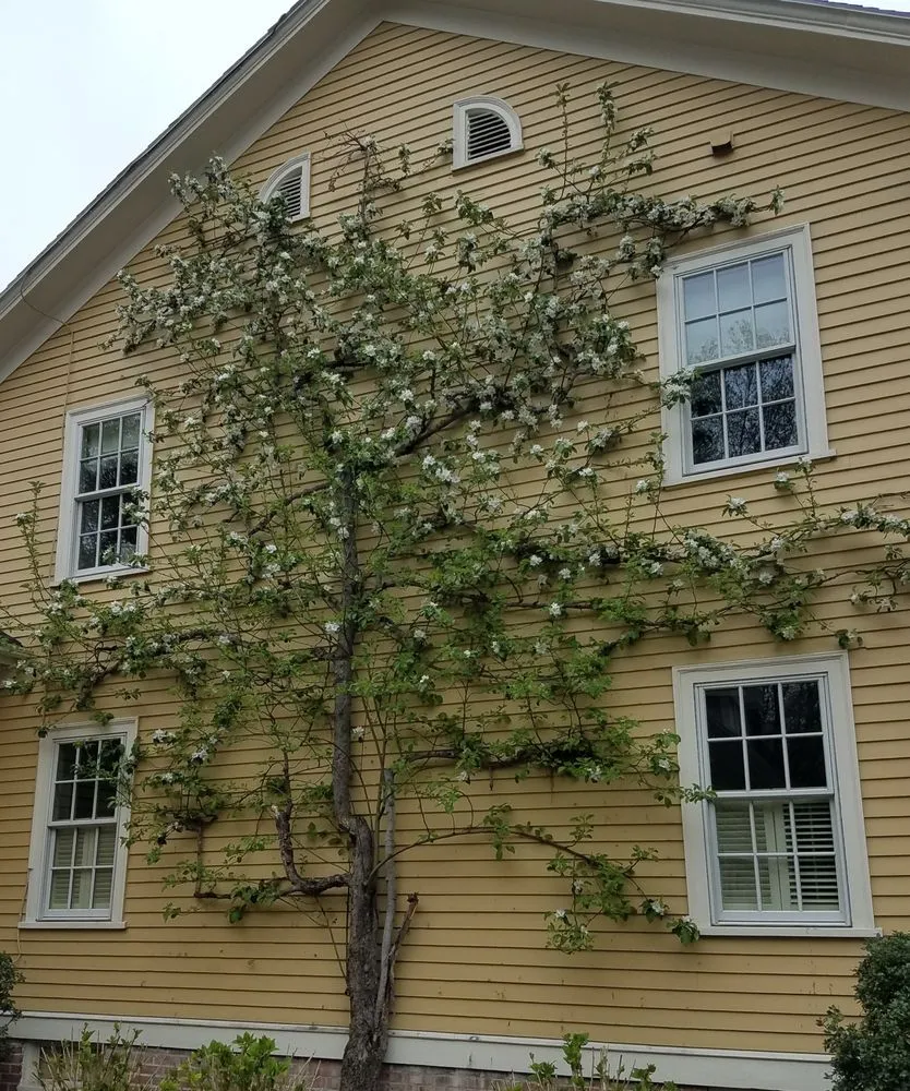 Trusted landscape installation experts serving Cranston, RI - GreenerEase