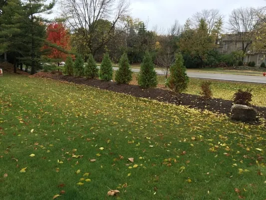 GREENERSIDE LANDSCAPE COMPANIES