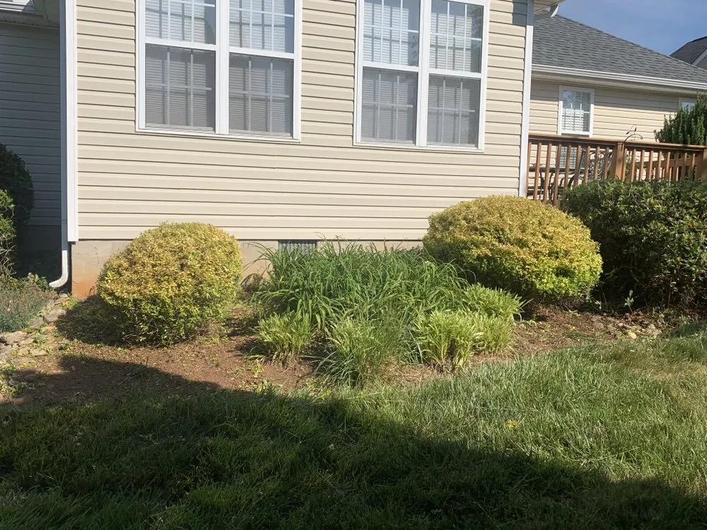 Expert landscape design for beautiful yards in Kernersville, NC by Greenerside Landscaping