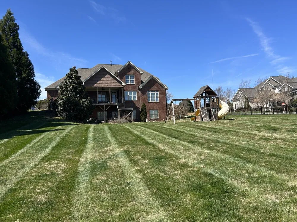 Custom yard cleanup service in Kernersville, NC - Greenerside Landscaping
