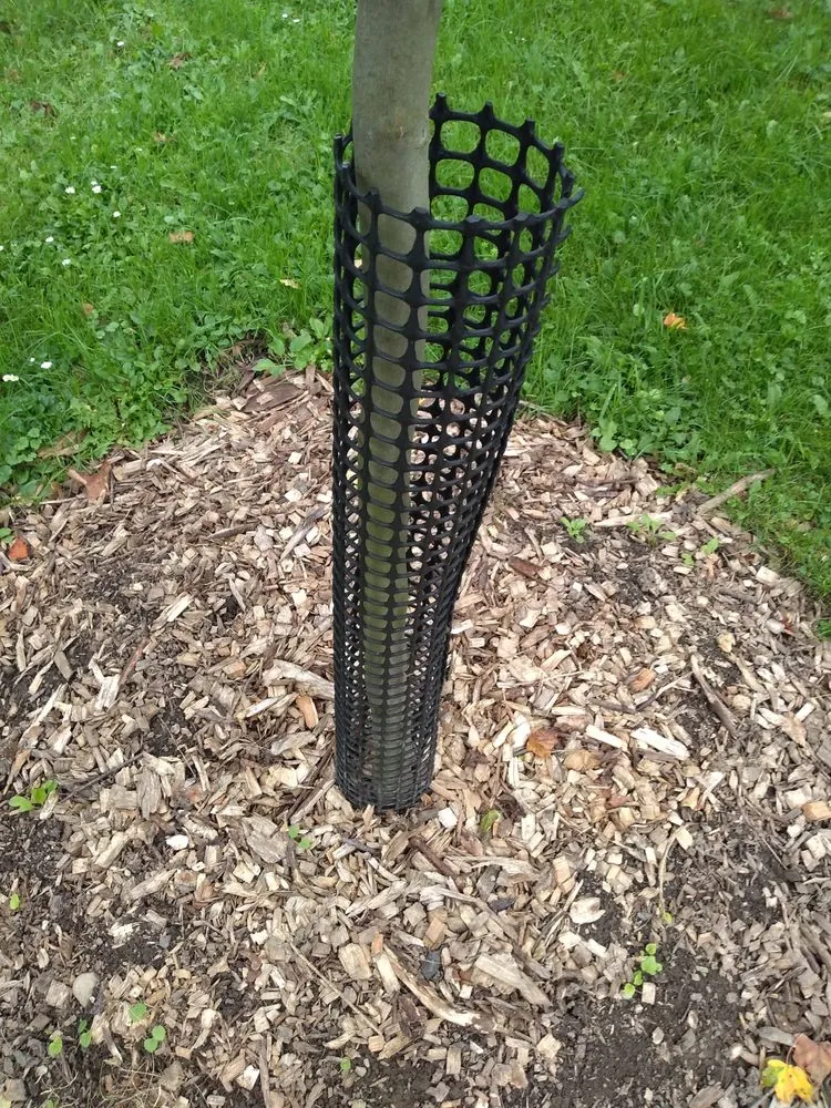 Expert landscaping services for year-round maintenance in Endicott, NY by Greenery And Landscaping