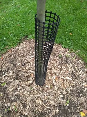 Greenery And Landscaping