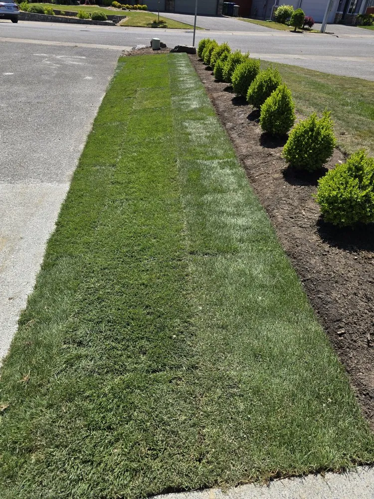 Local yard maintenance in Snohomish, WA - Greenery Brothers Landscaping & Construction