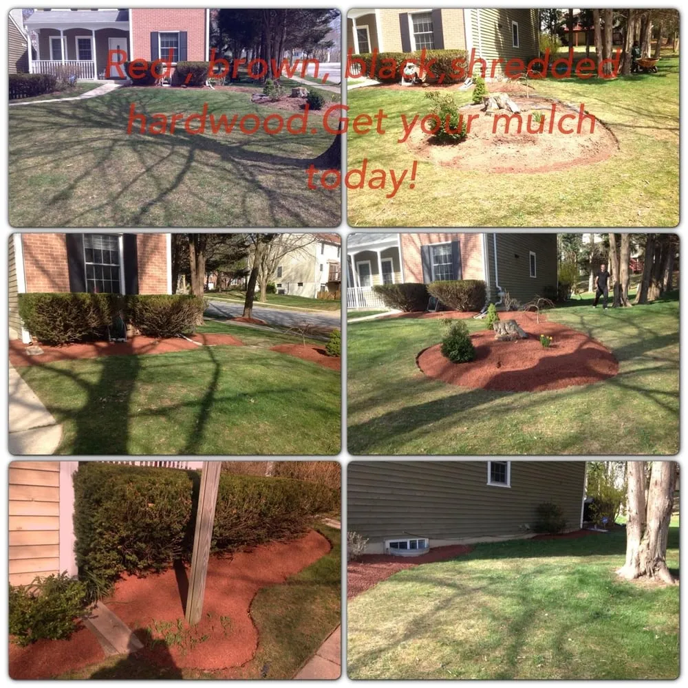 Affordable landscape design for beautiful yards in Columbia, MD by Greenery