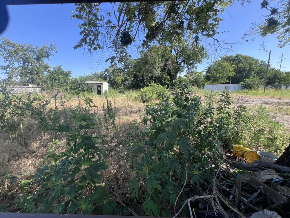 Expert landscape installation near you in Luther, OK by Greenery Imprint