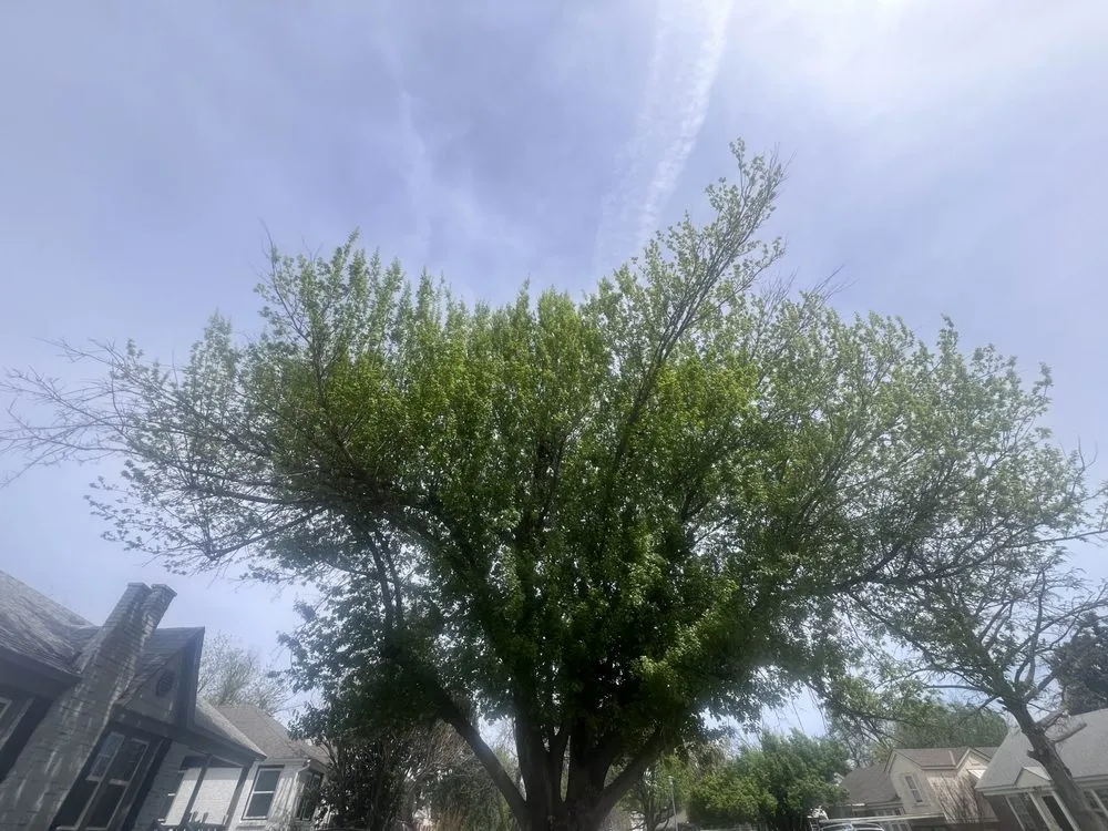 Custom landscape installation in Luther, OK - Greenery Imprint