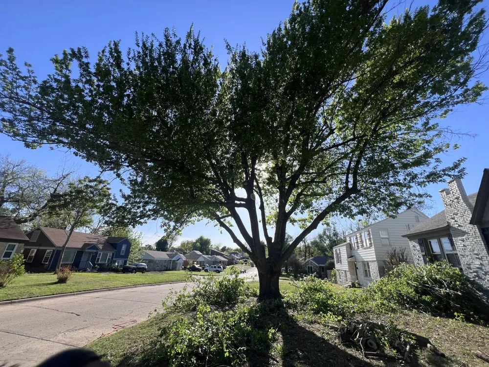 Local lawn care service in Luther, OK by Greenery Imprint